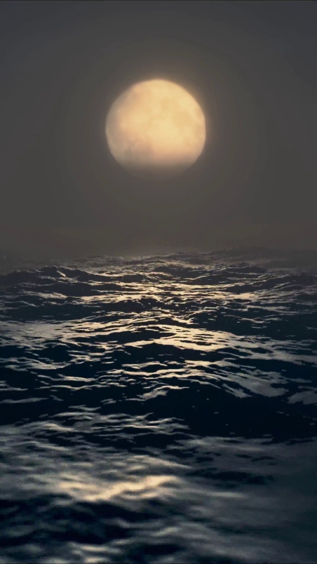 4K海上明月