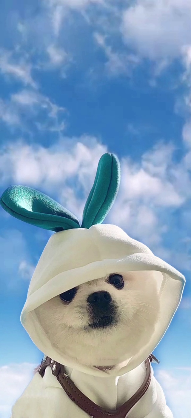 您要的～碧海晴空