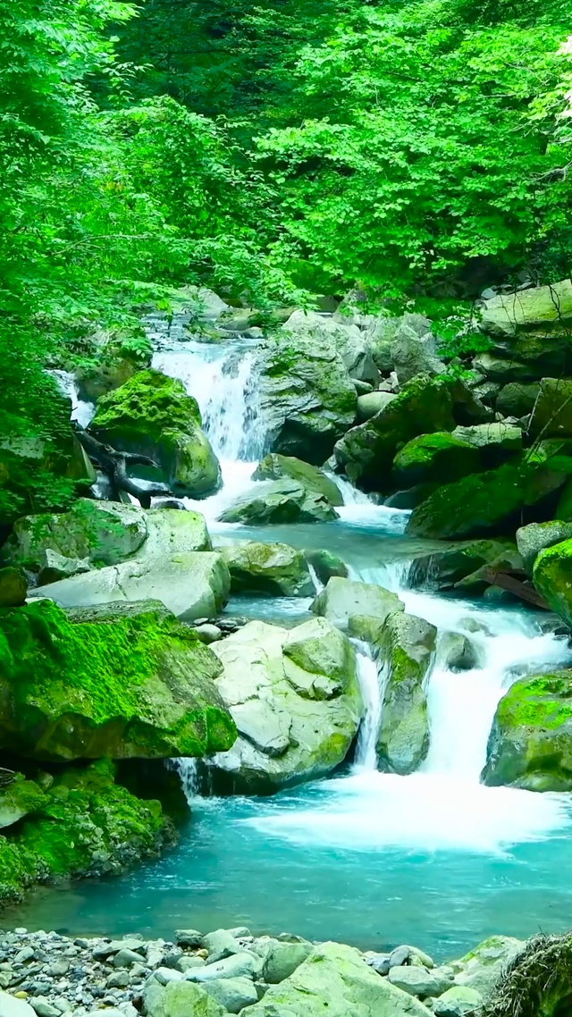 护眼绿林山涧溪水