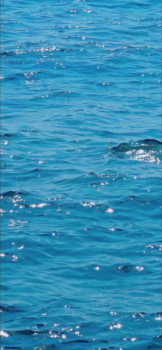 颅内放松治愈动态流水