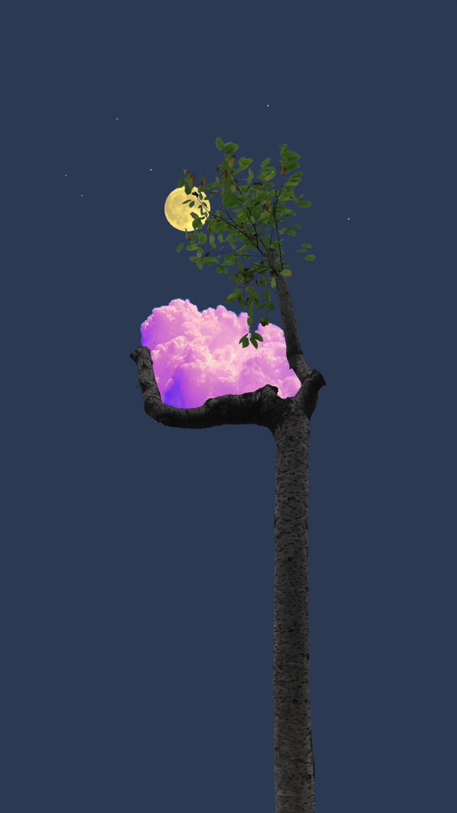 孤独的风景