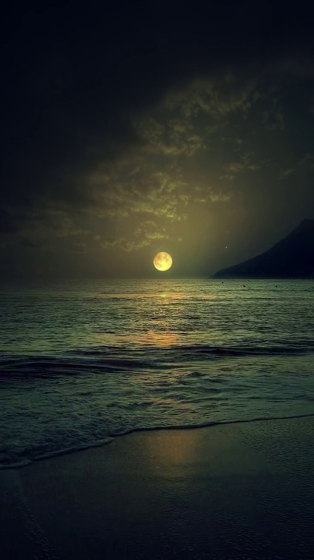 来和我一起看月亮