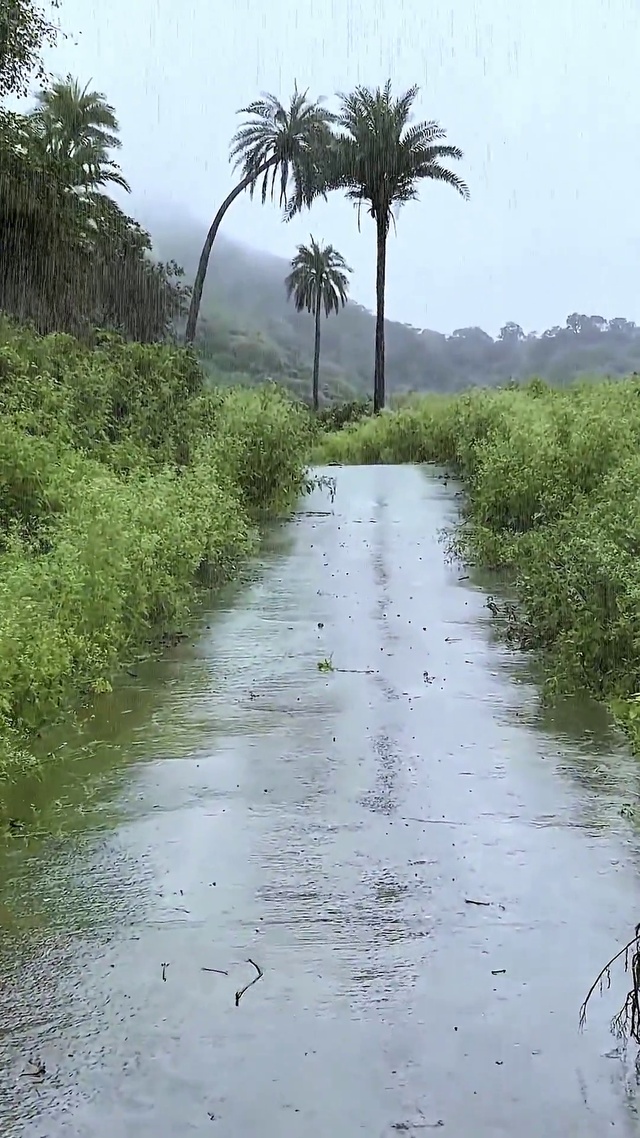 雨中漫步