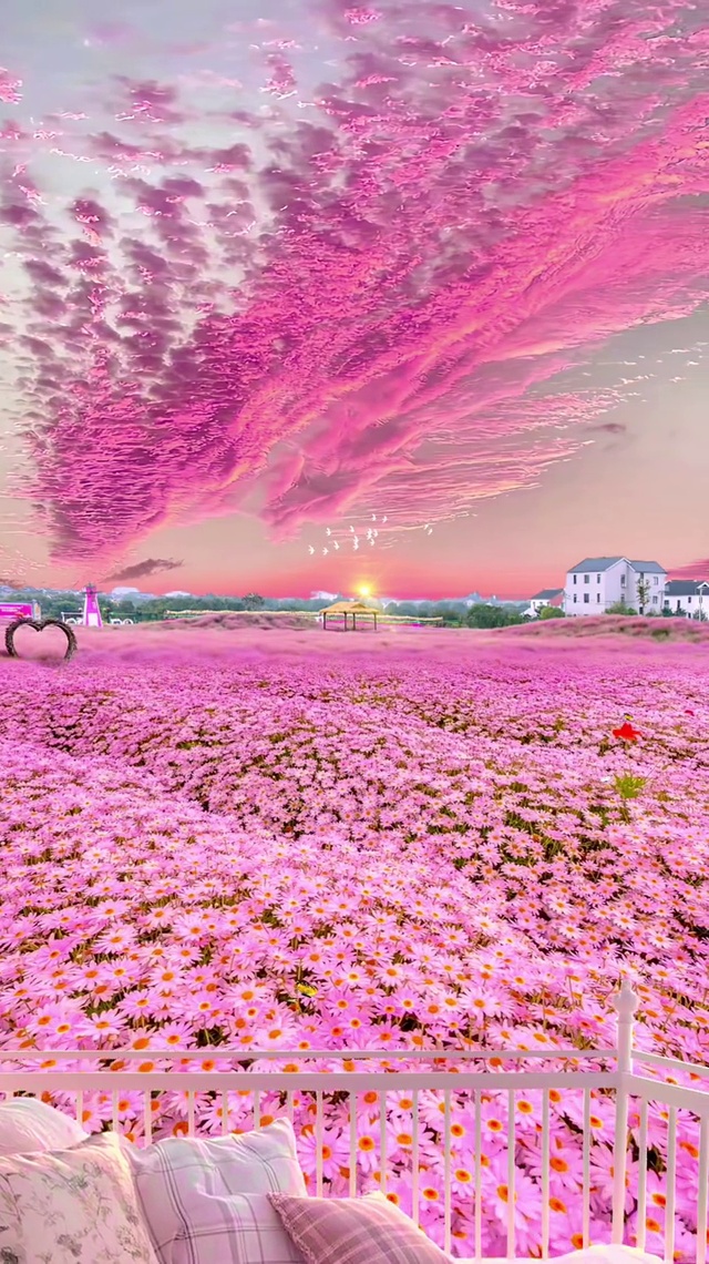 浪漫美丽的花海