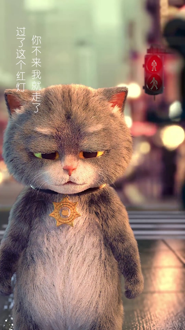 斑布猫-等红灯