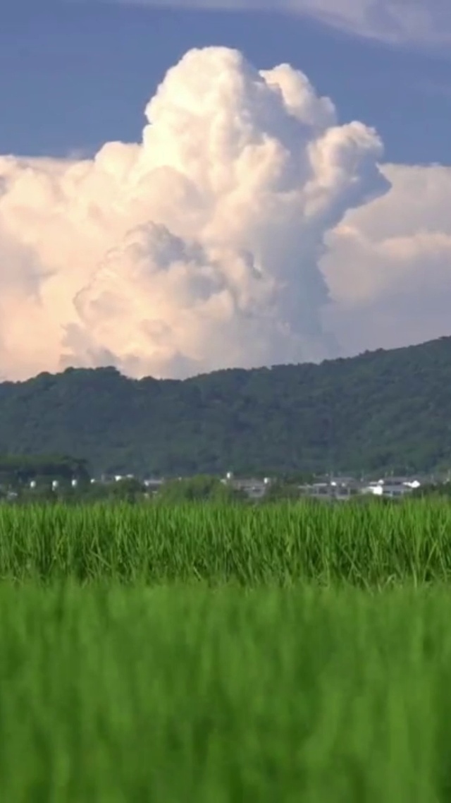 4K唯美护眼乡村天空绿草