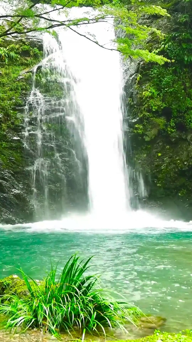 4K护眼瀑布水潭