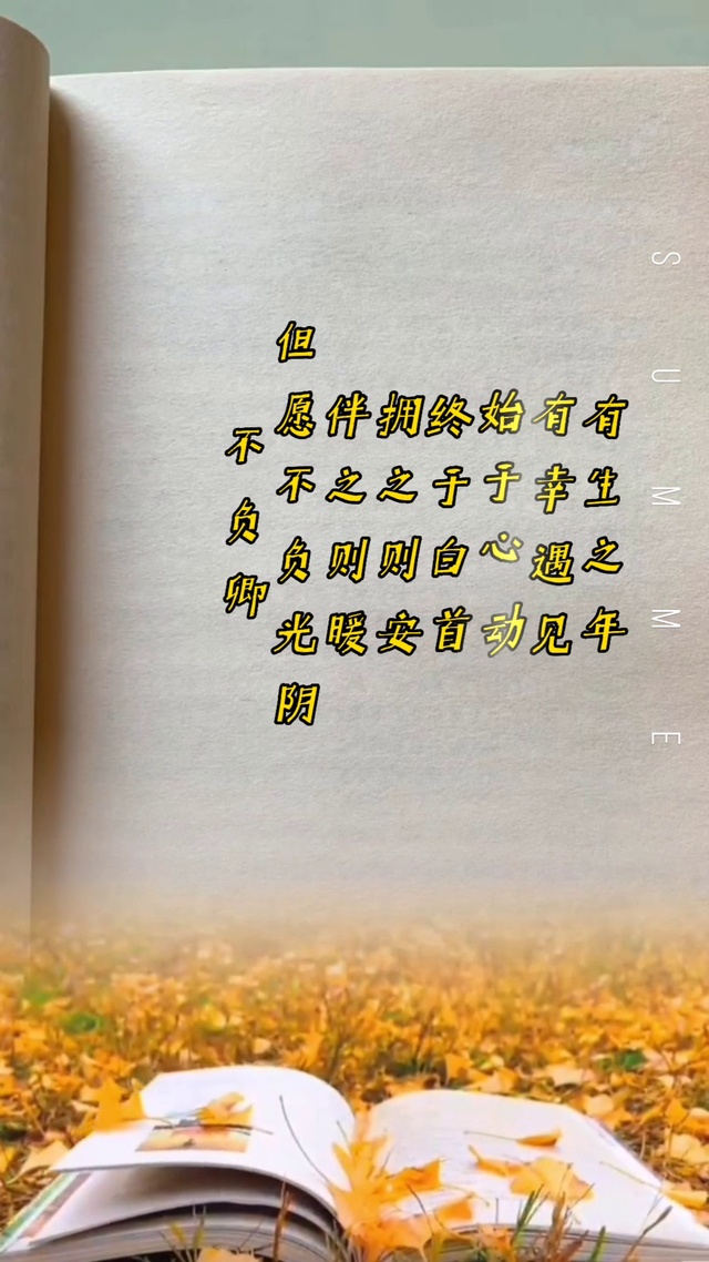 不负光阴不负卿