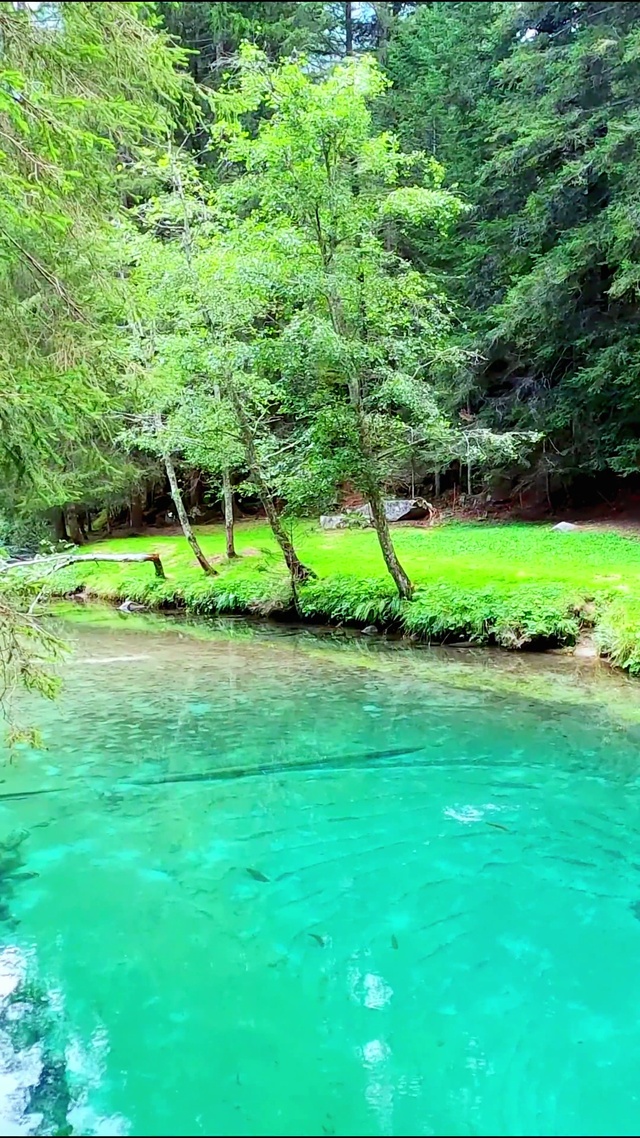 见鱼者 鱼跃龙门 4K