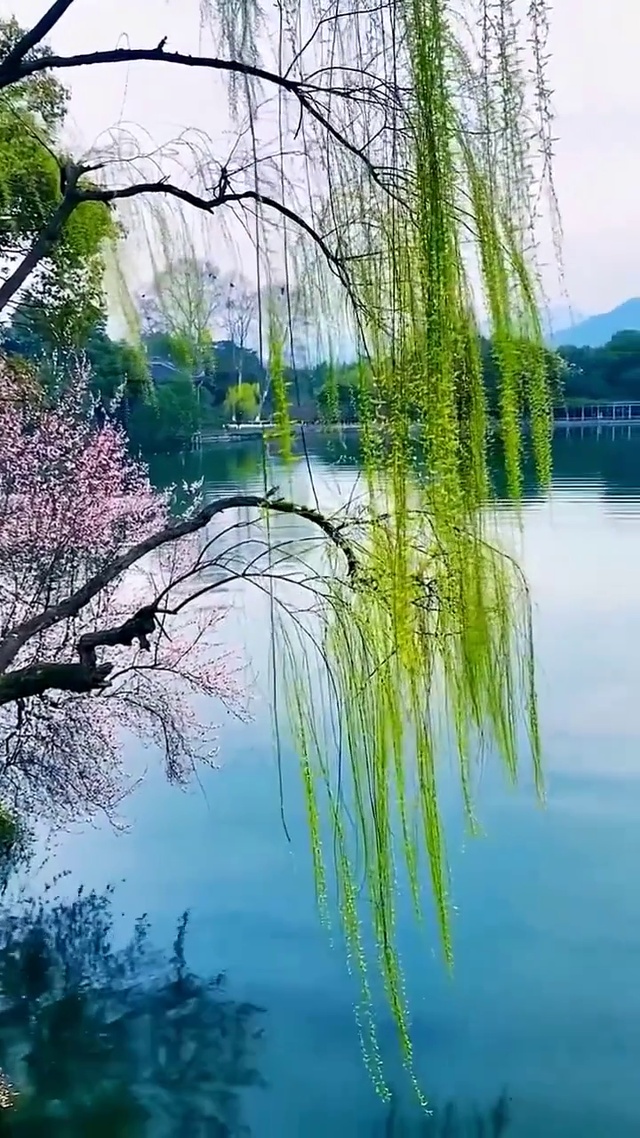 二月春风似剪刀