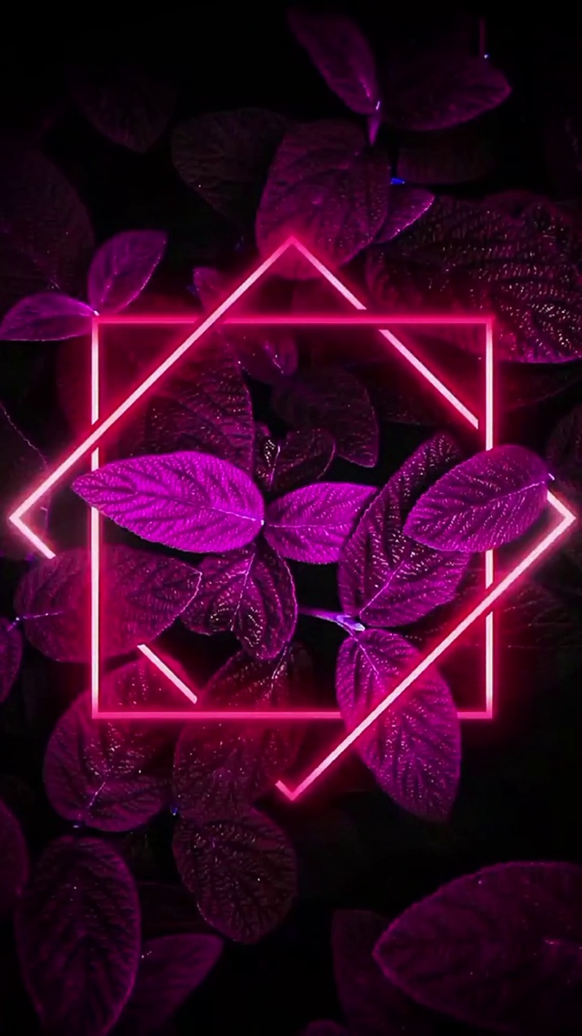 绿叶镭射变光 【动态】