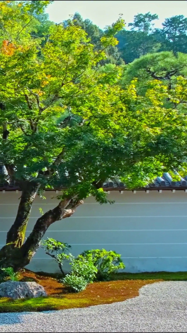 唯美治愈小院4K