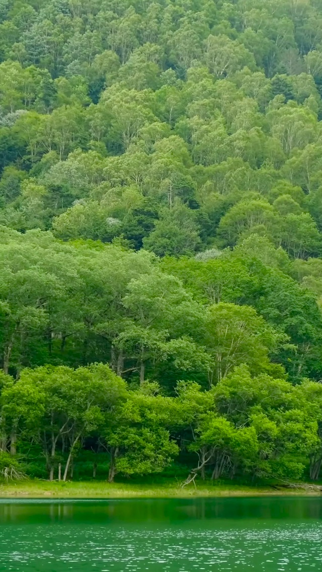 夏日青山绿水湖