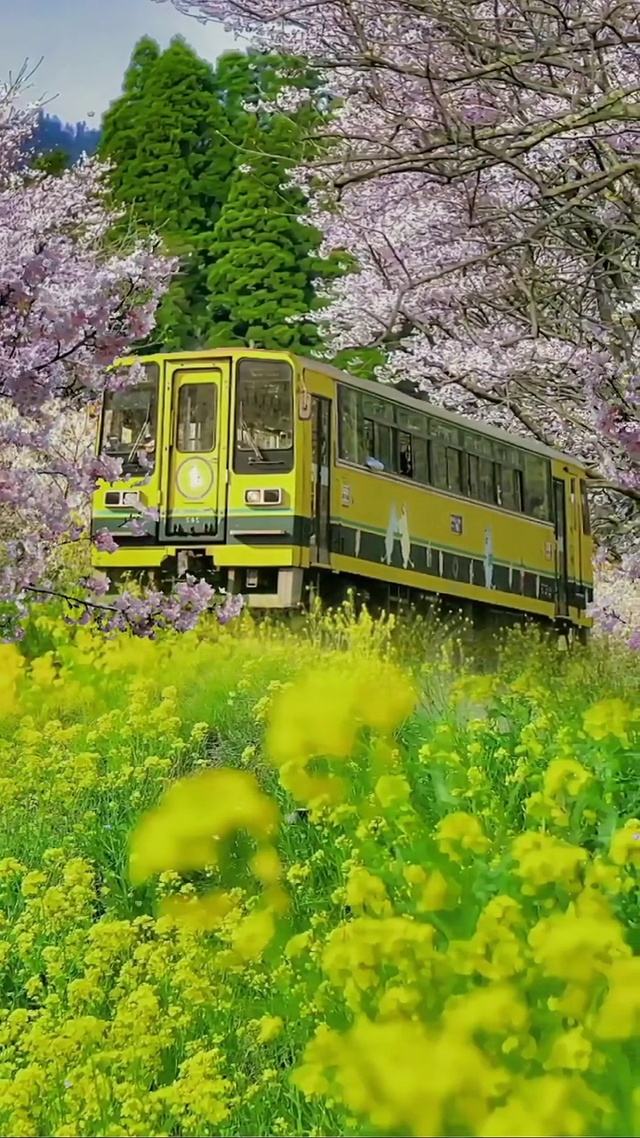 繁花似锦，温馨浪漫。