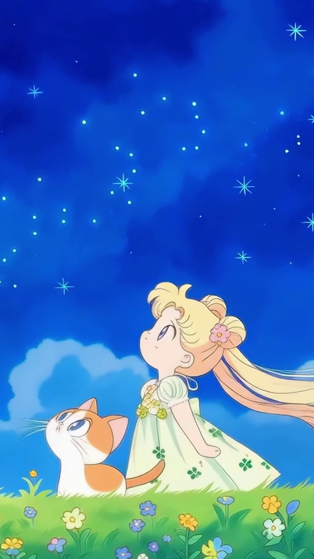 夏夜星空的月野兔