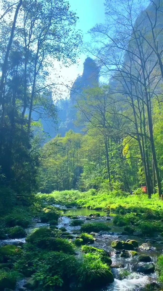 真实的山水风景