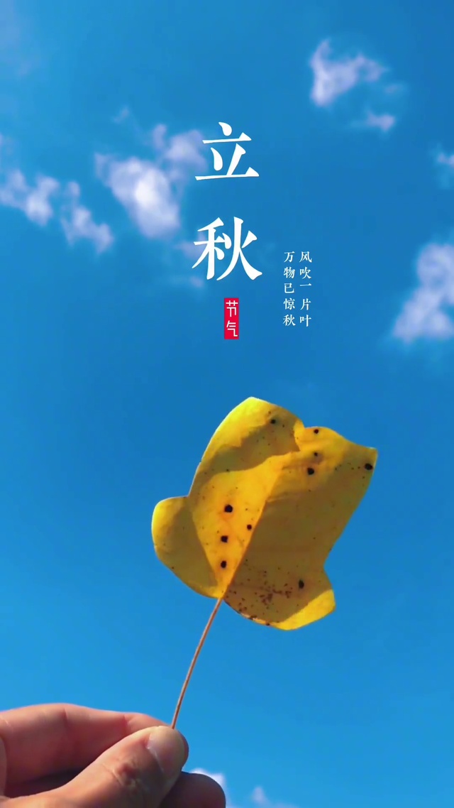 夏未尽 秋已深 一曲一乐一节气·白露