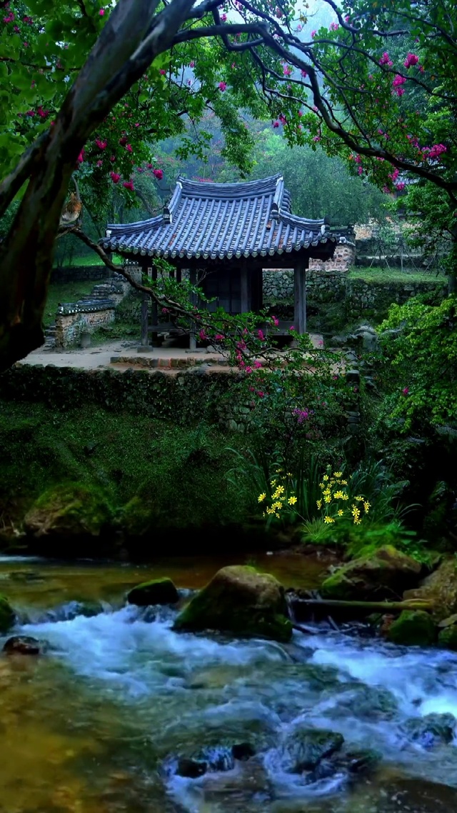 六月翩然而来。在接下来的日子里，愿你我都能够不惧风雨。