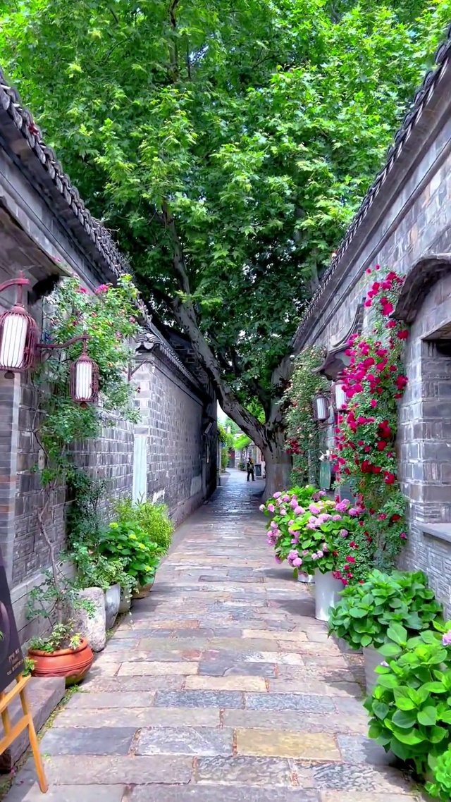 小巷风景