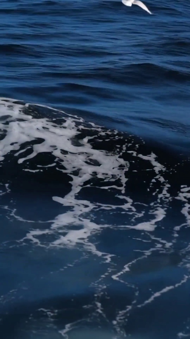 海上