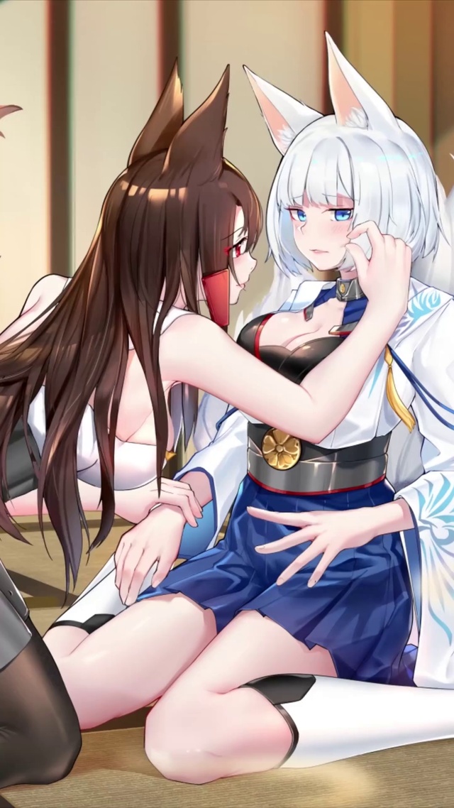 赤城加贺