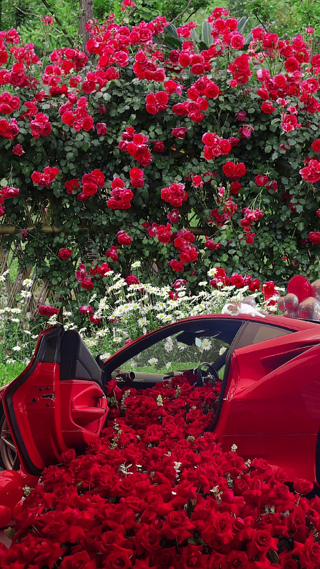 浪漫玫瑰花跑车
