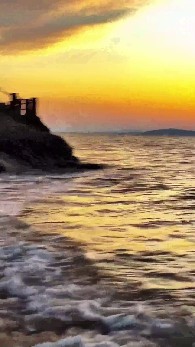 爱意随大海远去.