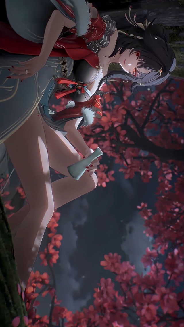 心月狐3