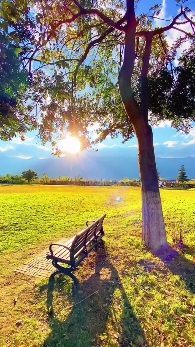 我想静静的坐在长椅上 不思未来 不念过去 活在当下
