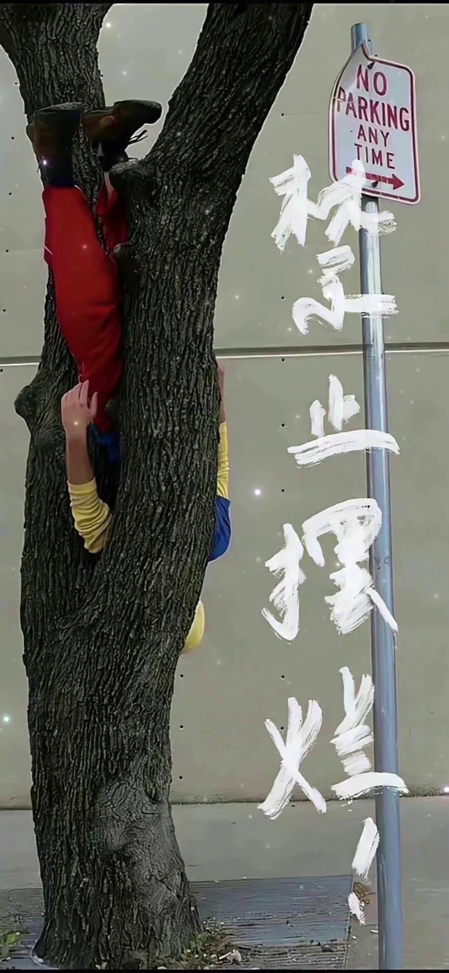 禁止摆烂励志视频动态背景