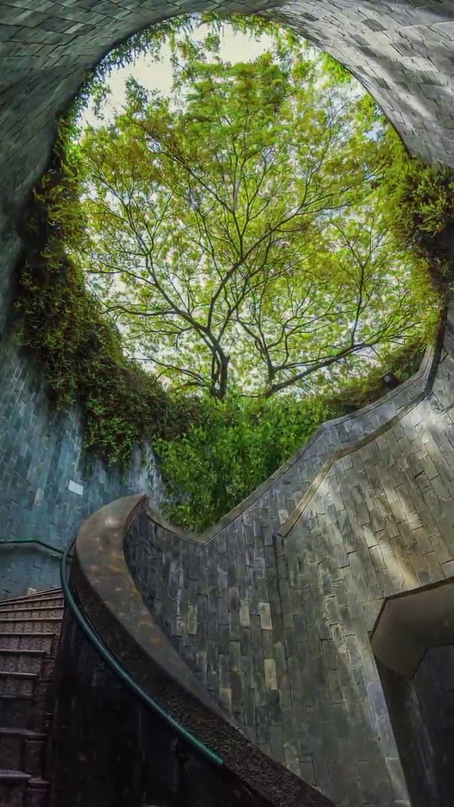 四季变换