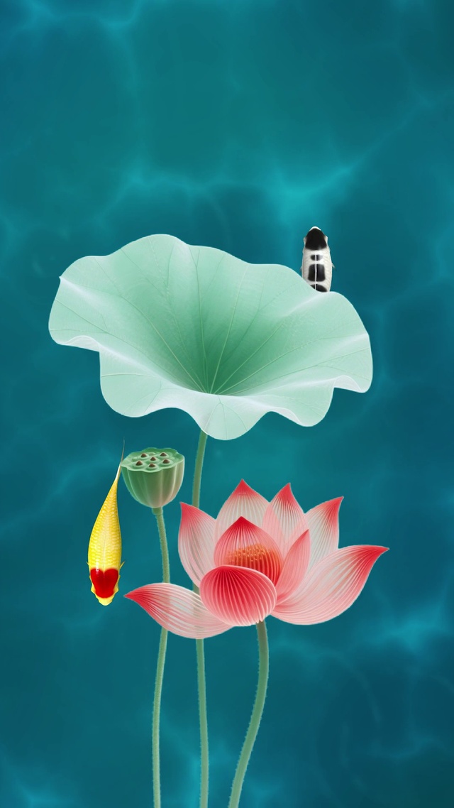 荷花鱼