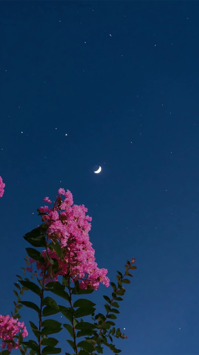 夜晚