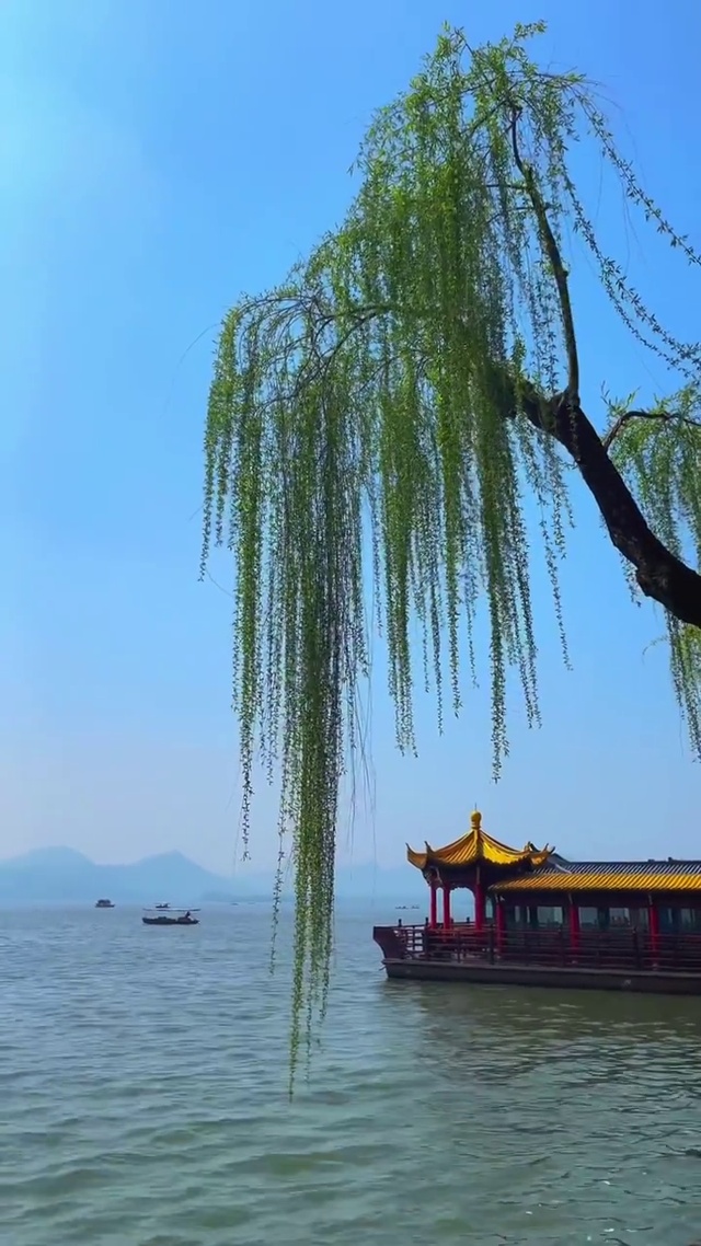 广阔天地，大有作为