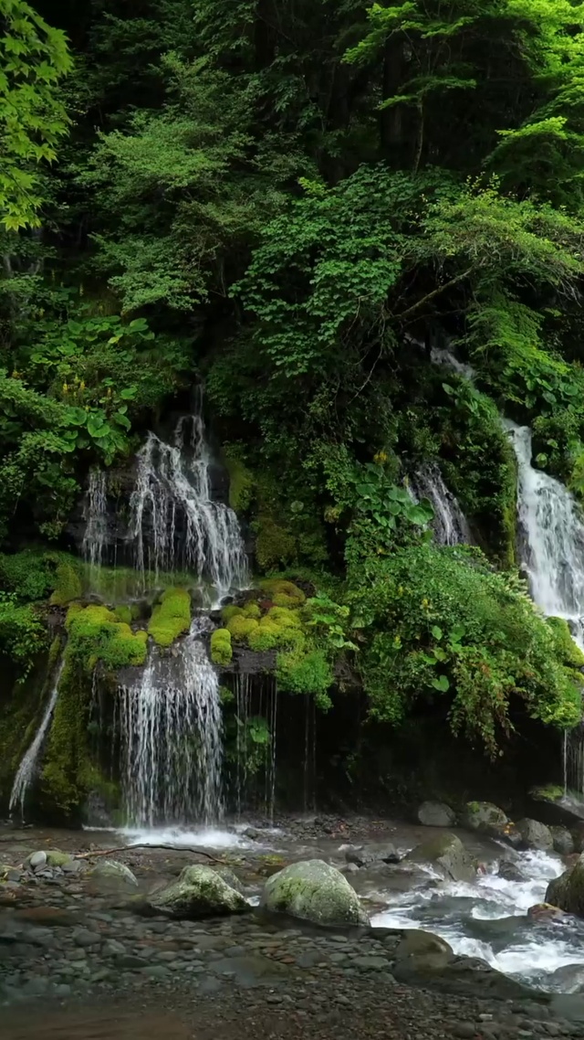 4K山涧绿林瀑布