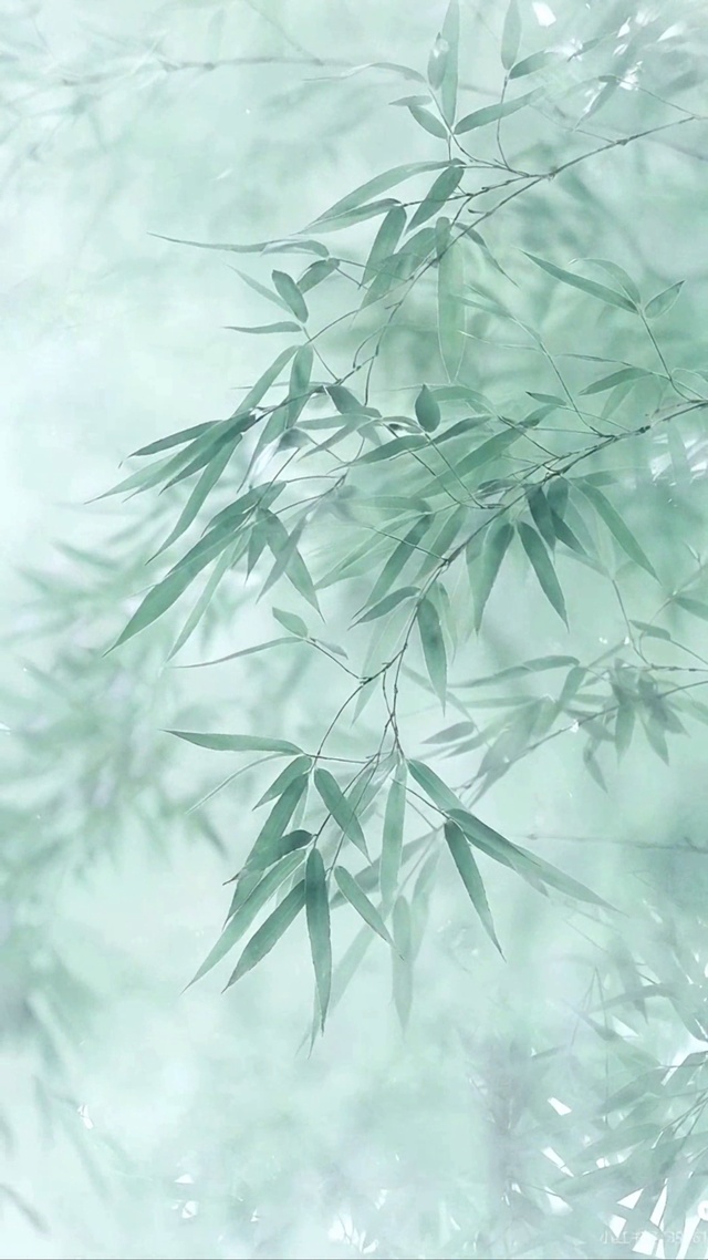 青竹