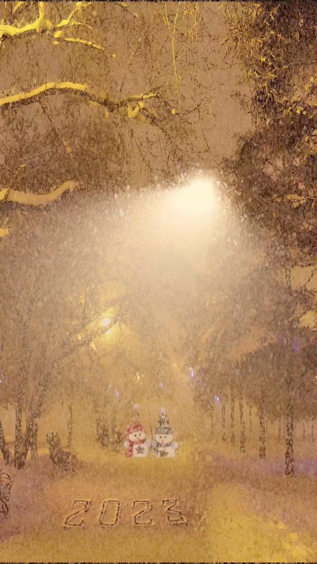 爆款雪人雪景