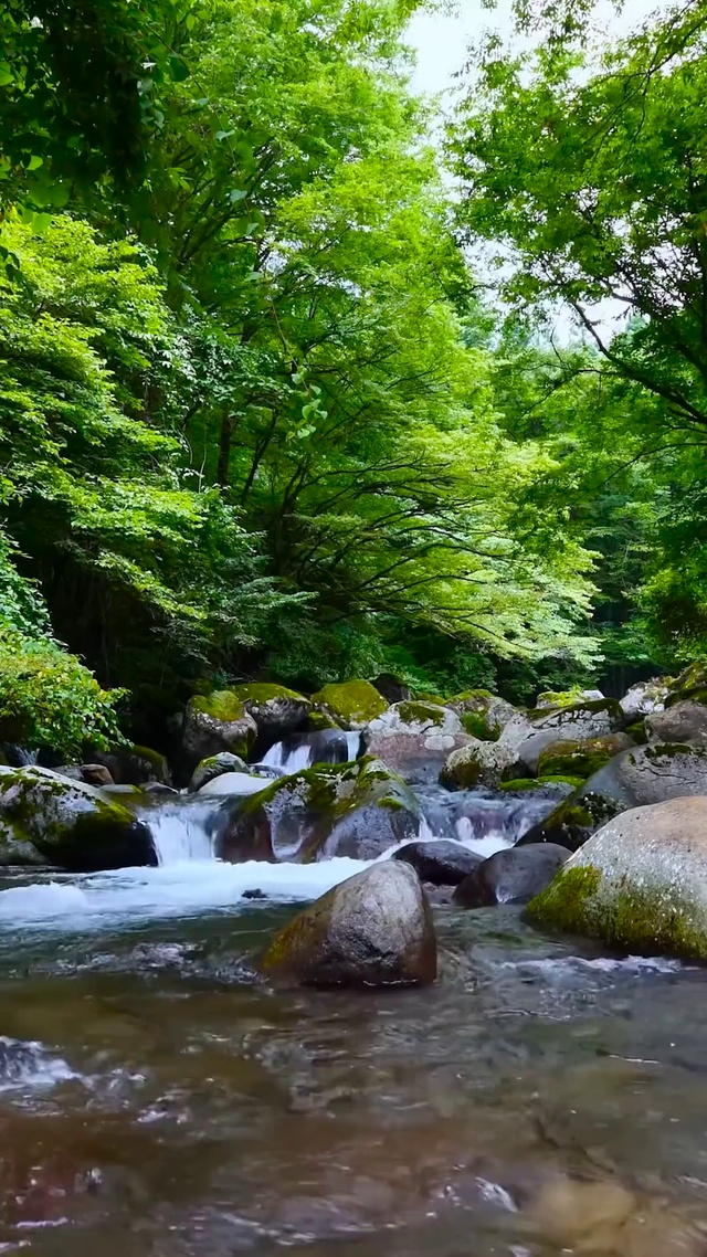 护眼绿林清新溪水