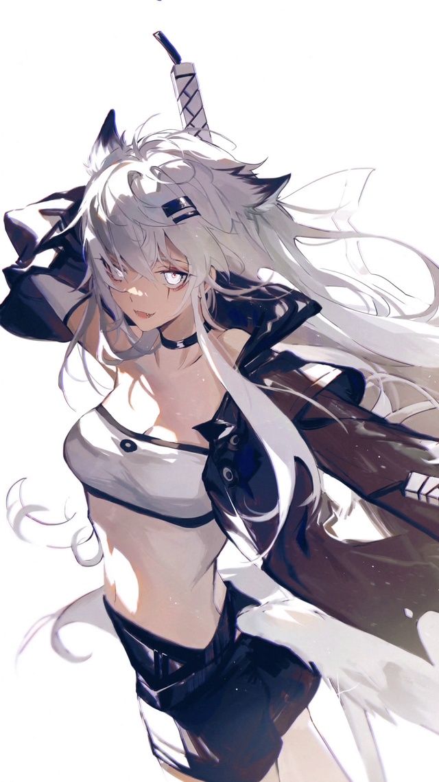 帅气刀娘拉狗4k