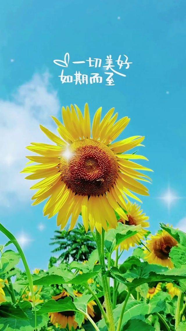 一切美好 如期而至