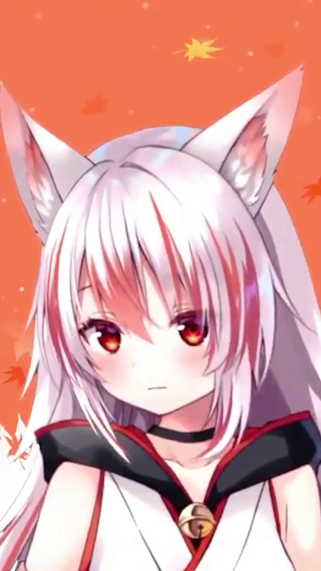 小猫娘