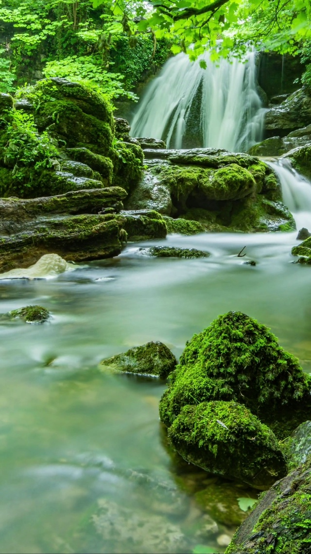 拥抱绿色，沉默是金