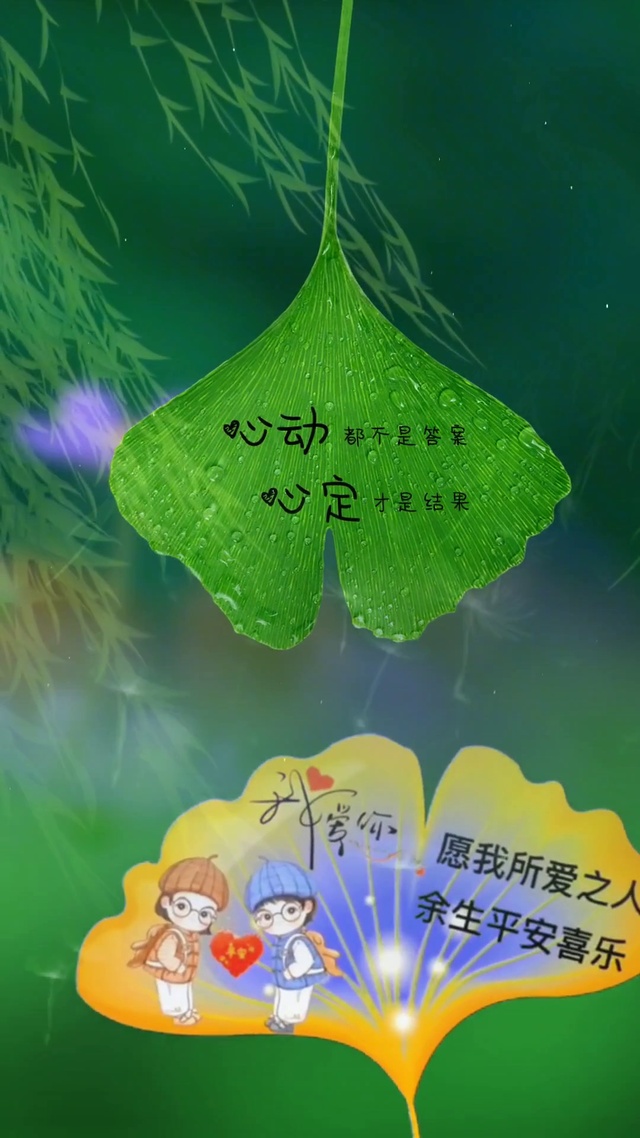 心动与心定