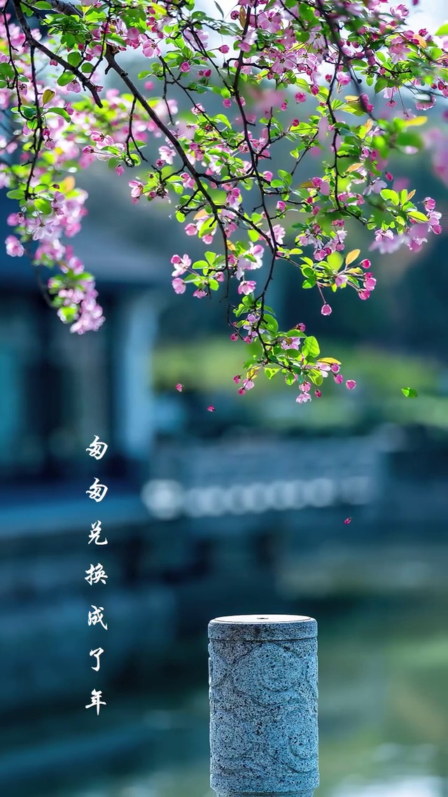 4K唯美意境