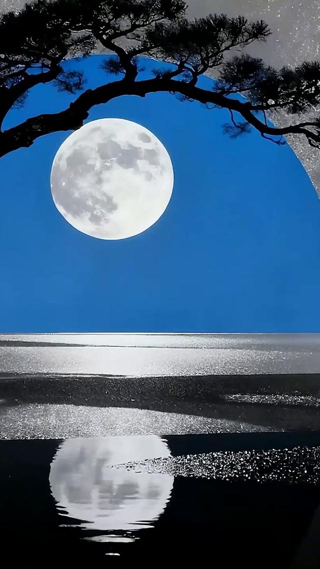 夜景树木