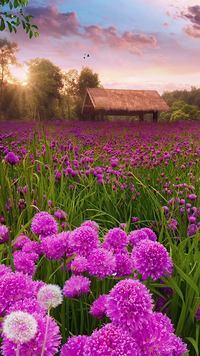 黄昏，黄昏永远那么美，带着淡淡的忧郁(＞﹏＜)