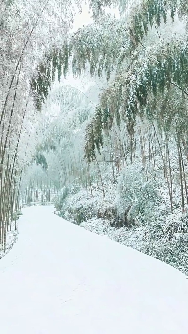 已经开始期待下一个冬天了