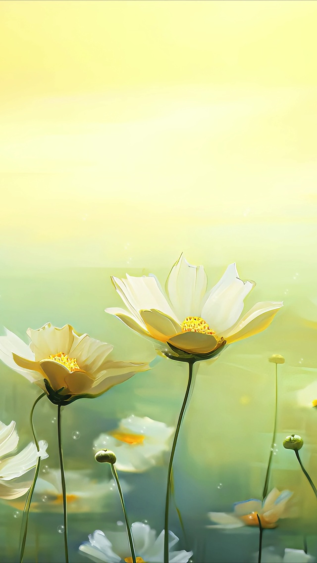 小清新花卉壁纸