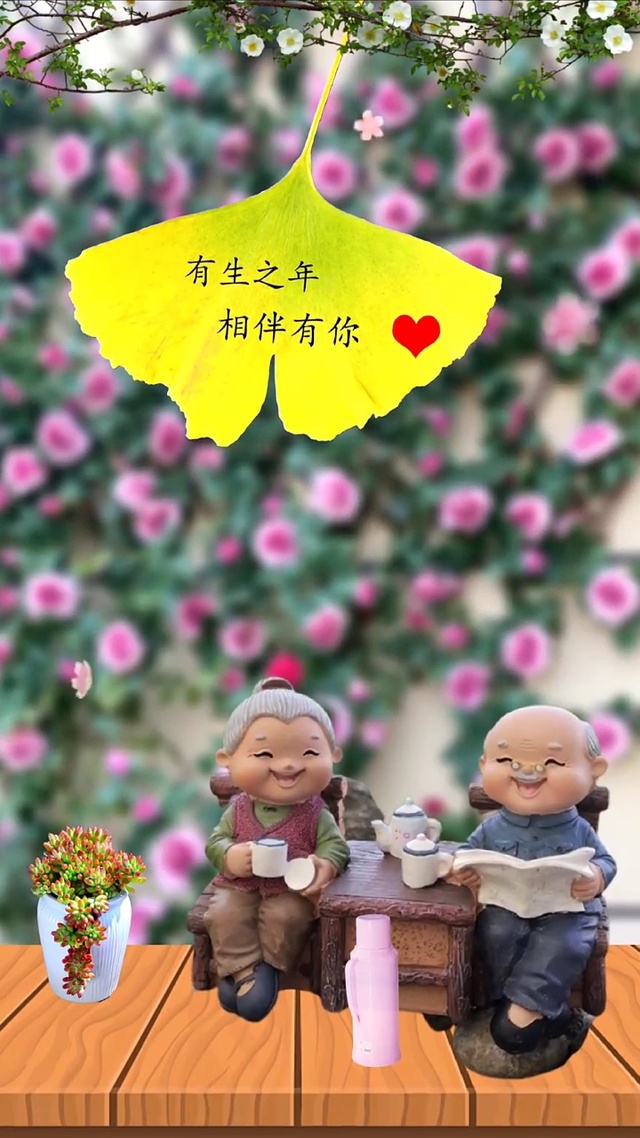 有生之年 相伴有你