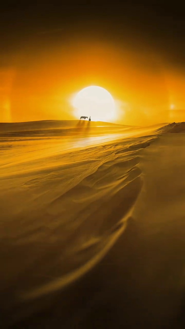 一人一马走一生